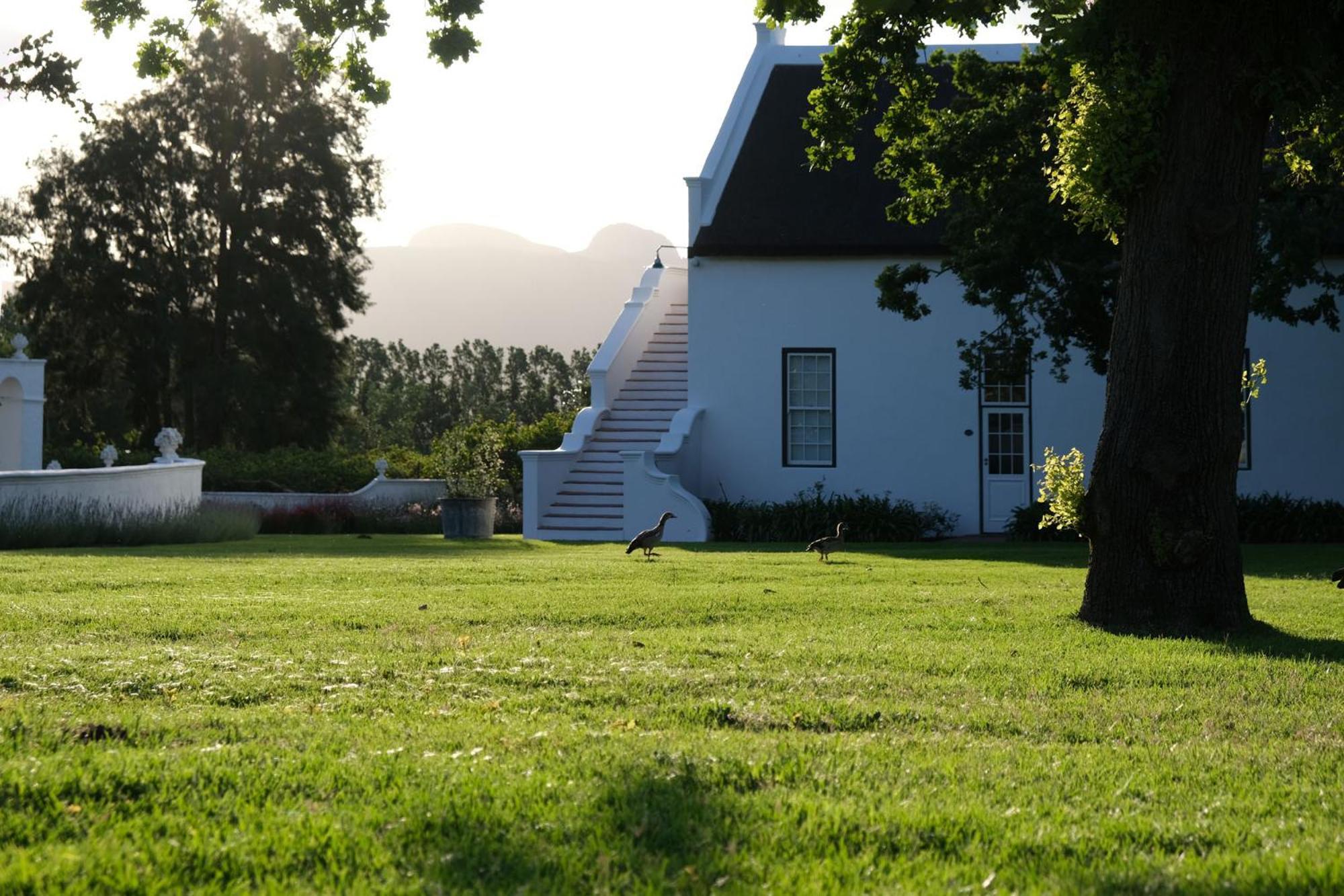 Adara Palmiet Valley Luxurious Boutique Farm Hotel Paarl Esterno foto